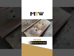 Zapato doble de la pista del gruñón