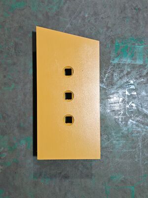 6Y5839MT Tipo de gato